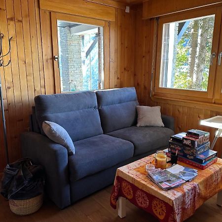 Chalet Edelweiss A Saint-Martin, Val D'Herens Exteriér fotografie